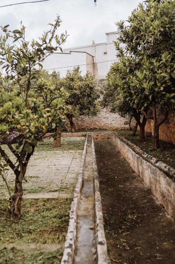 Masseria Casamassima Agriturismo Ostuni Exterior photo